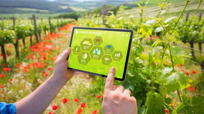 agritech-orti.go|unnamed (1)